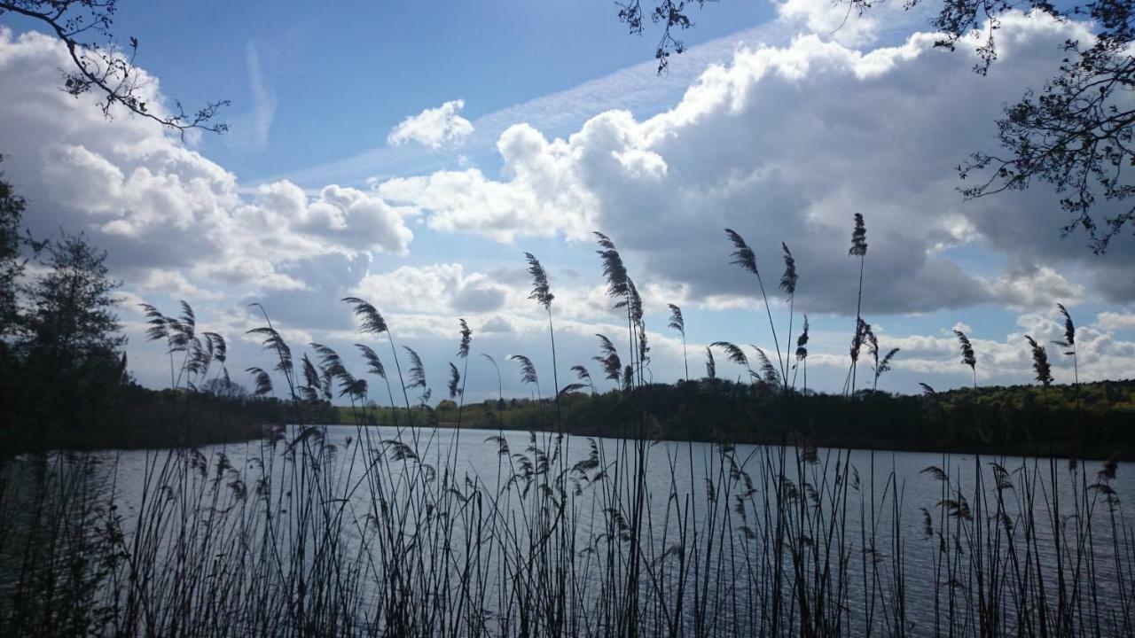 Schloonseevilla Mit Tiefgarage - 200 M Zum Strand Heringsdorf  Exteriér fotografie